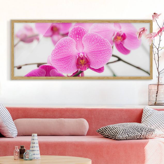 Déco mur cuisine Gros plan sur une orchidée