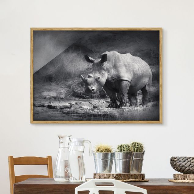 Affiches encadrées noir et blanc Rhinocéros solitaire
