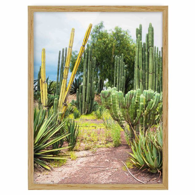 Tableau fleurs Paysage de cactus