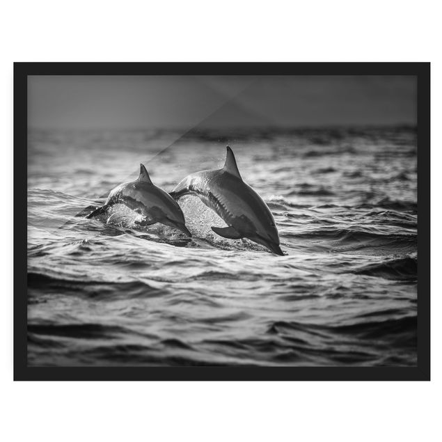Affiches encadrées animaux Deux dauphins qui sautent
