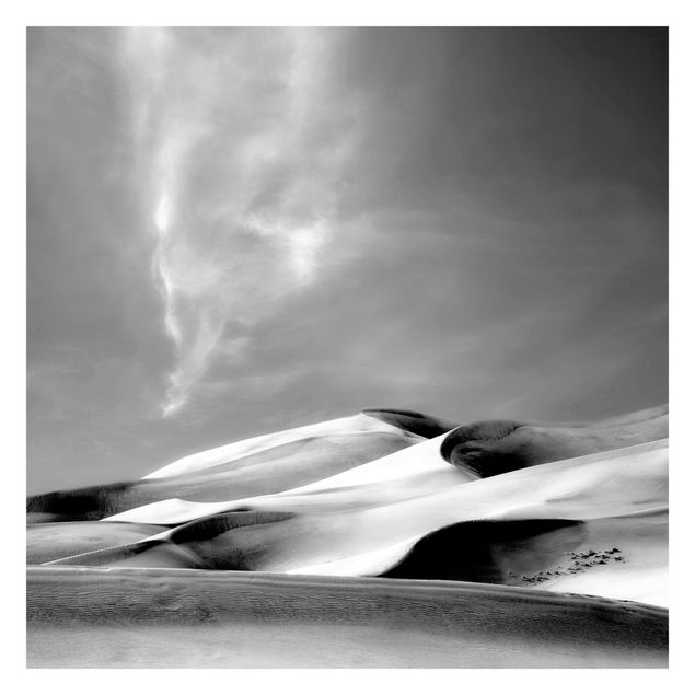 Papier peint paysage Colorado Dunes Noir Et Blanc