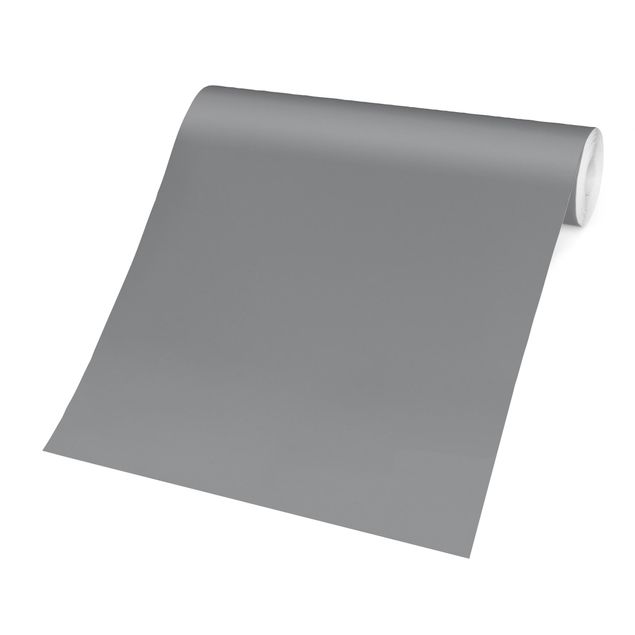 Papier peint - Colour Cool Grey