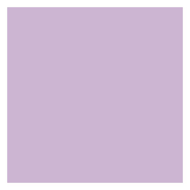 Papier peint - Colour Lavender