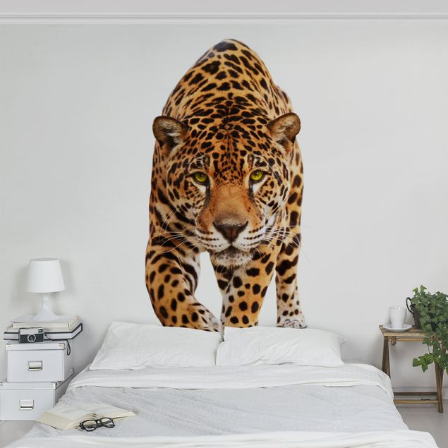 Papier peint animaux Jaguar rampant