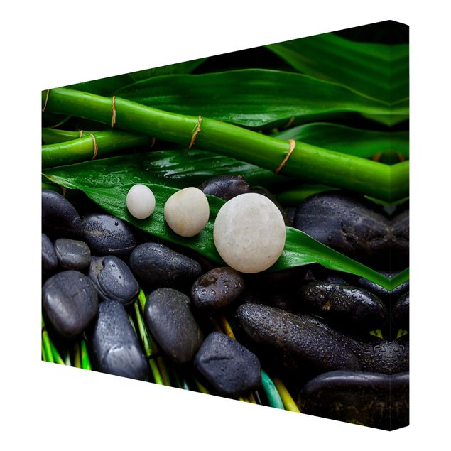 tableaux floraux Bambou vert avec pierres zen
