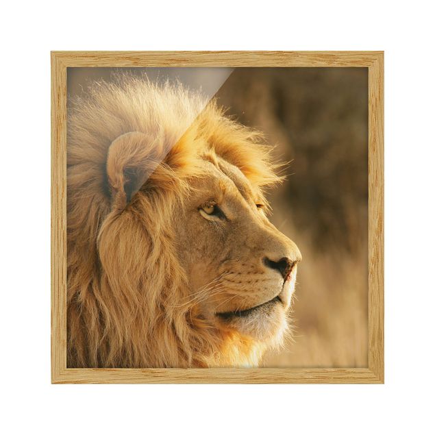 Tableaux modernes King Lion