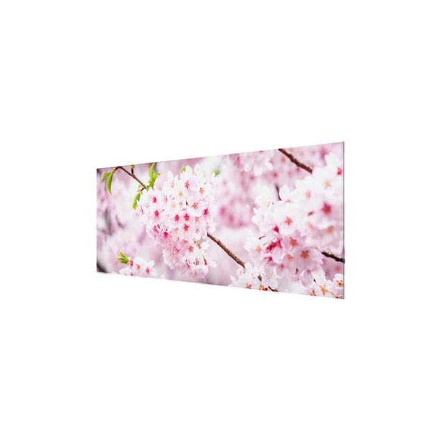 Tableau rose Japanese Cherry Blossoms