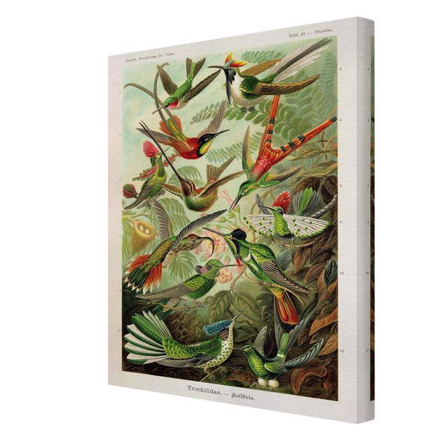 Tableaux multicolore Vintage Board Hummingbirds