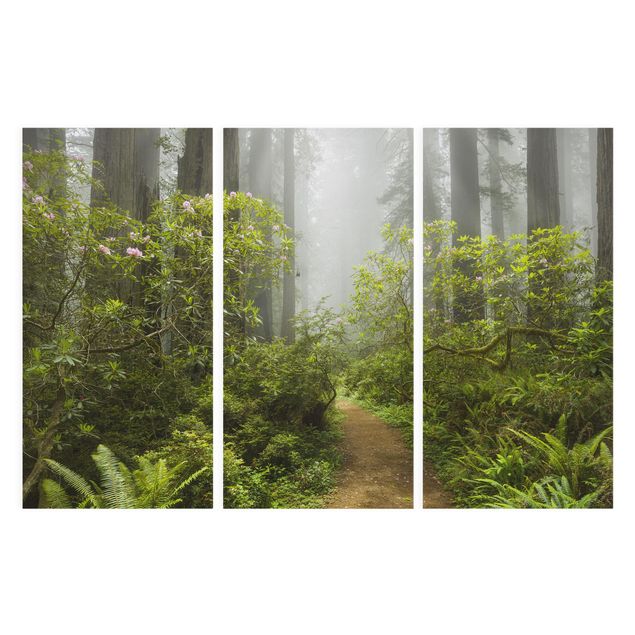 Tableau nature Chemin de forêt brumeux