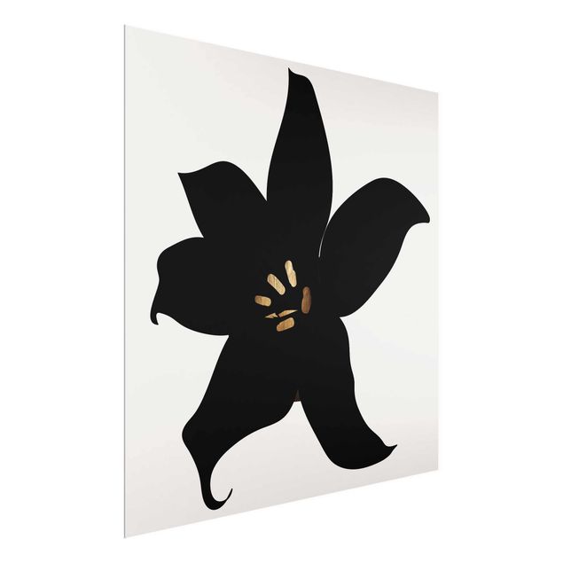 Tableau orchidée Monde végétal graphique - Orchidée noire et or