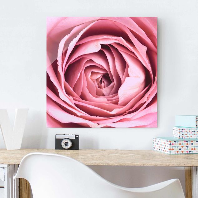 Tableaux en verre magnétique Fleur de Rose rose