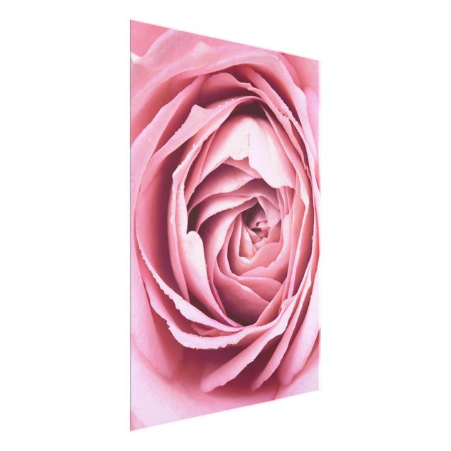Tableaux en verre fleurs Fleur de Rose rose