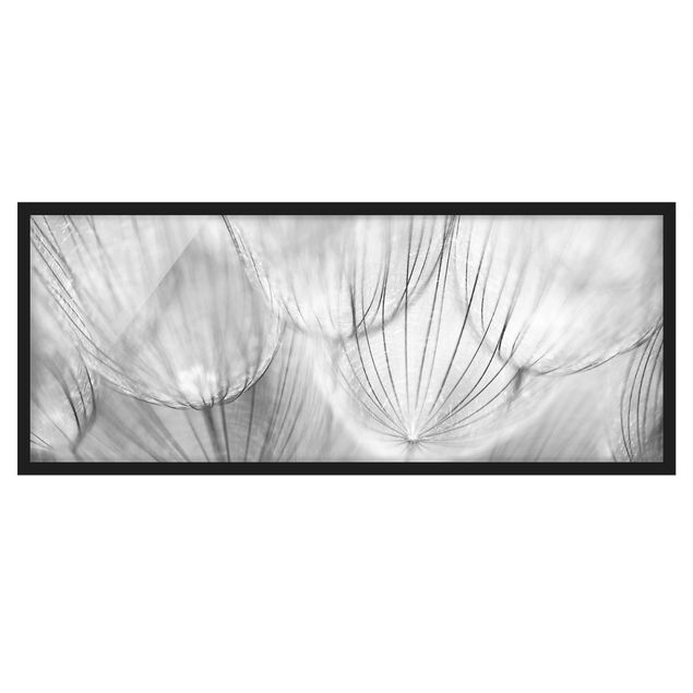 Tableau moderne Pissenlits en macrophotographie en noir et blanc