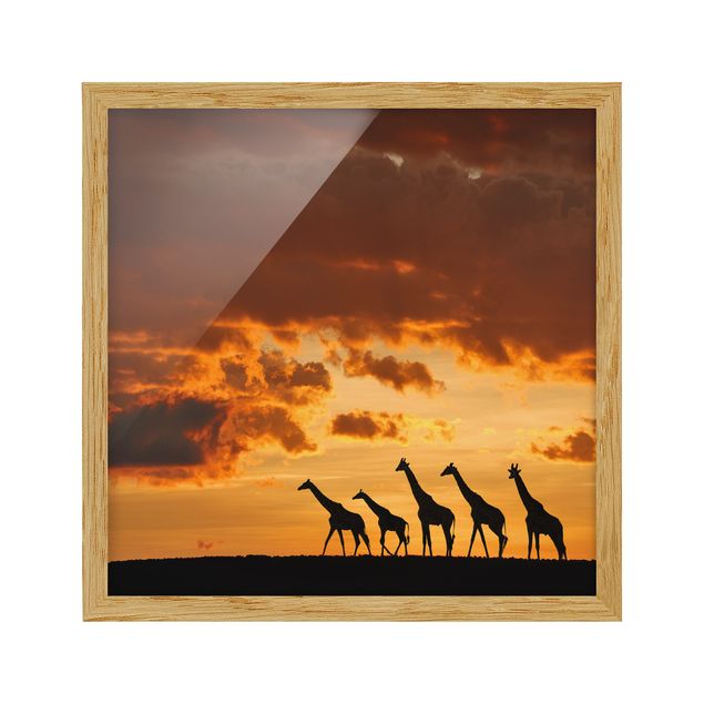 Poster encadré abstrait Cinq Girafes