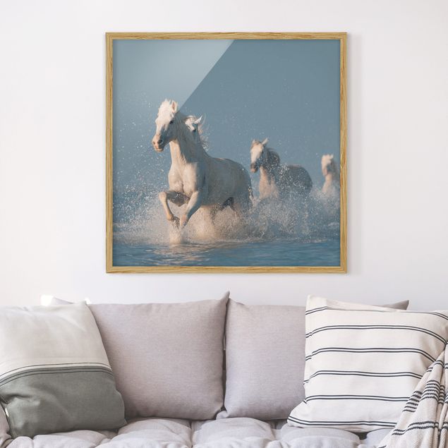 Poster encadré abstrait Troupeau de chevaux blancs