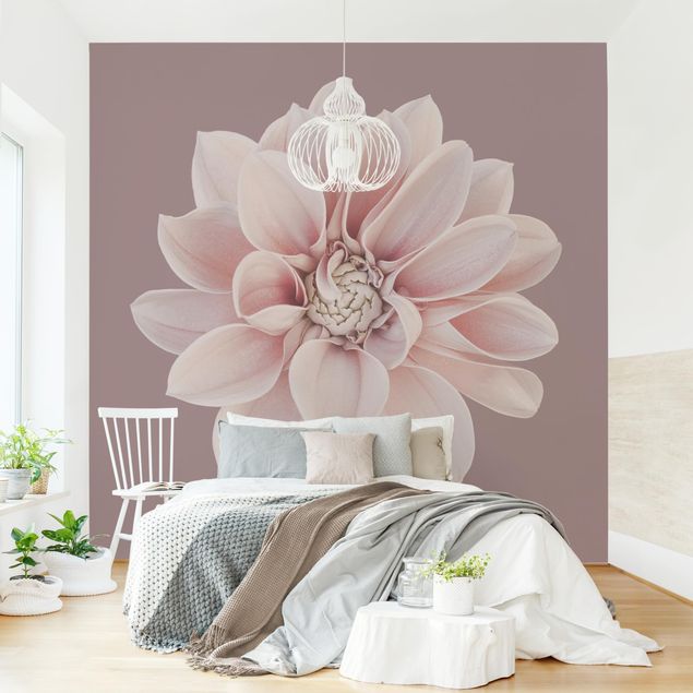 Papier peint moderne Fleur Dahlia Lavande Blanc Rose