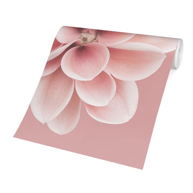 papier peint xxl Fleur Dahlia Rose Blush Centré