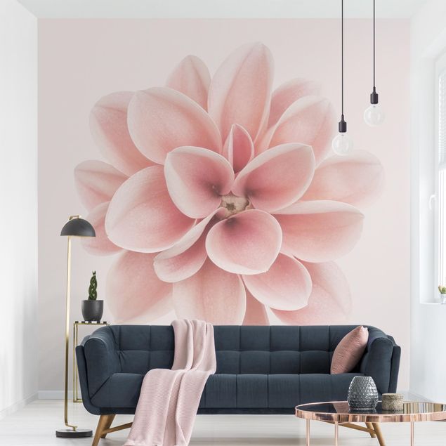 Papiers peints modernes Dahlia Rose Fleur Pastel Centré
