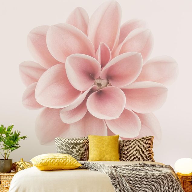 Papier peint floral Dahlia Rose Fleur Pastel Centré