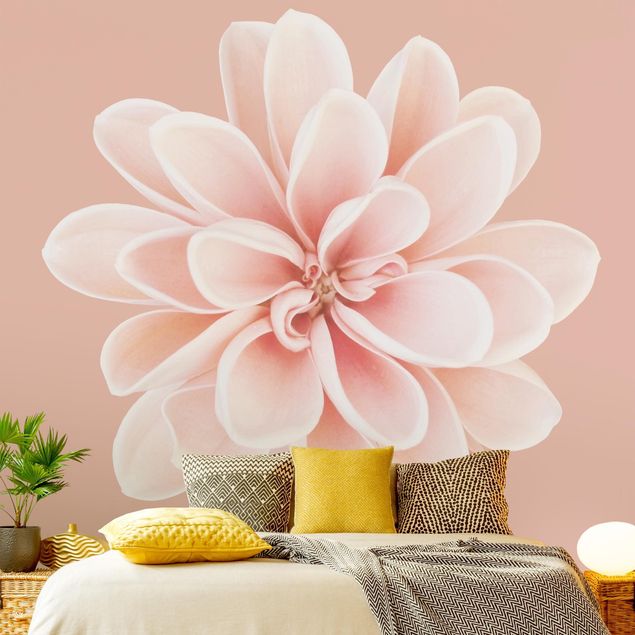 Papier peint fleurs Dahlia Rose Pastel Blanc Centré