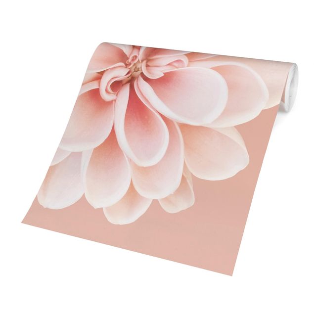 Papier peint panoramique Dahlia Rose Pastel Blanc Centré