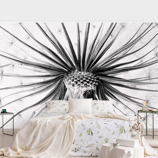 Papier peint moderne Dandelion Close-up Black And White