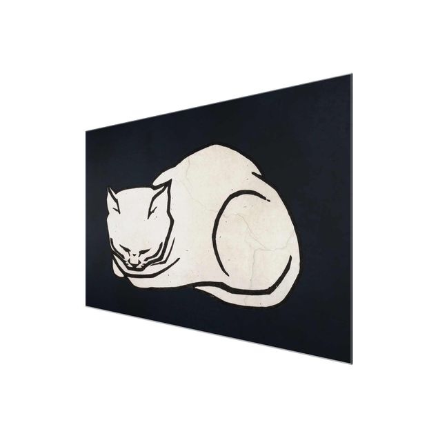 Tableaux noir et blanc Illustration d'un chat endormi