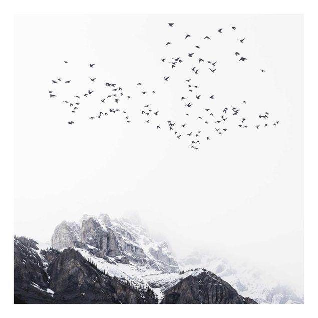 Tableaux en verre noir et blanc Volée d'oiseaux devant des montagnes noir et blanc