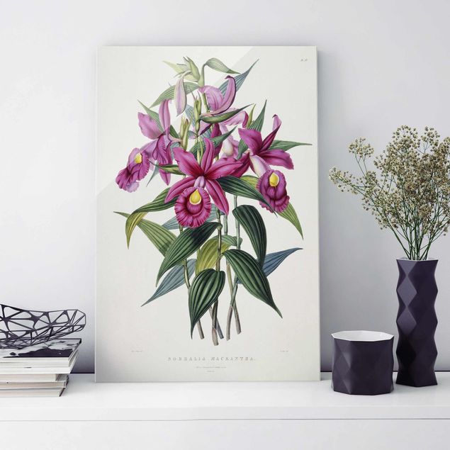 Tableaux en verre orchidée Maxim Gauci - Orchidée I