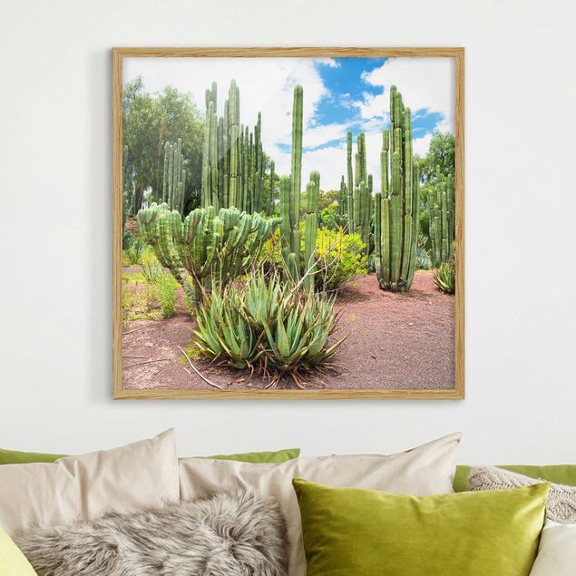 Tableau paysage Paysage de cactus