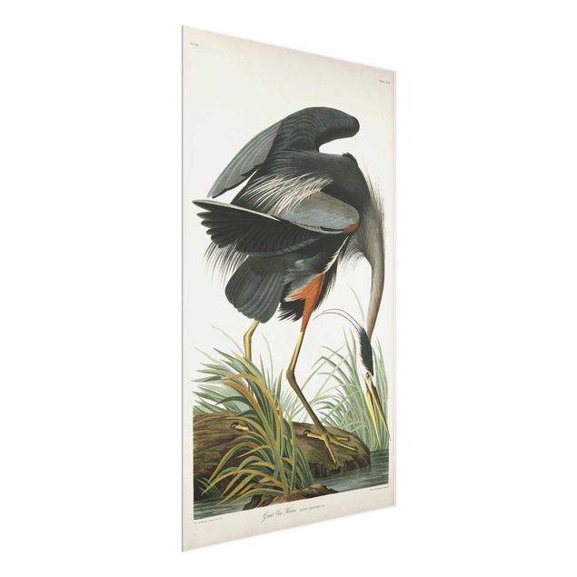 Tableau retro Tableau Botanique Blue Heron