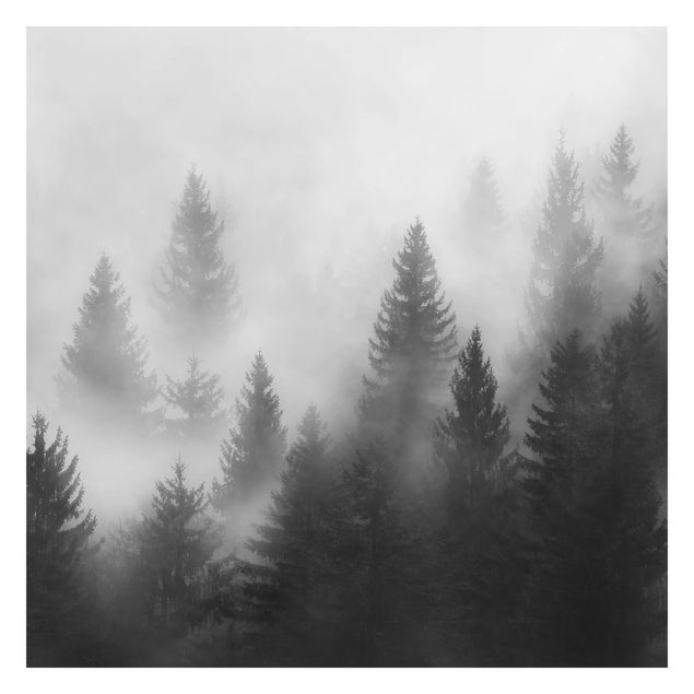 Papier peint adhésif forêt - Coniferous Forest In The Fog Black And White