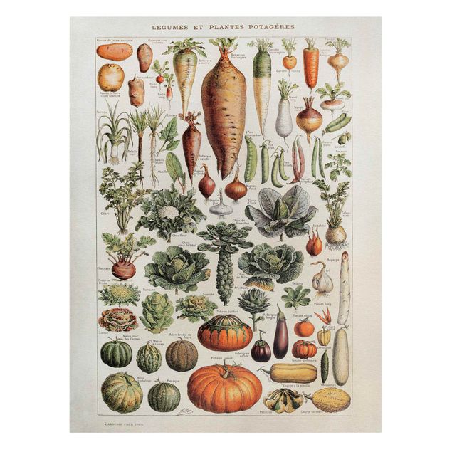 Tableaux sur toile avec légumes et fruit Tableau Vintage Légumes