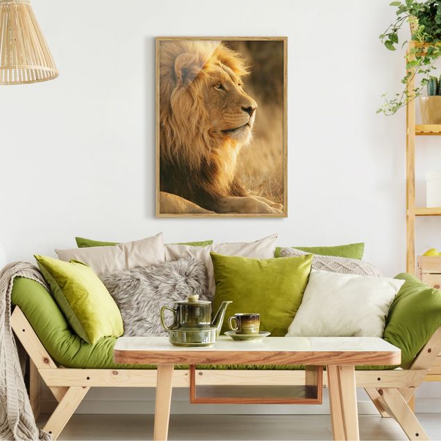 Tableaux encadrés animaux King Lion