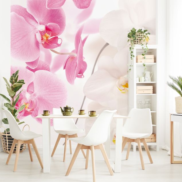 Papier peint moderne Orchidées délicates