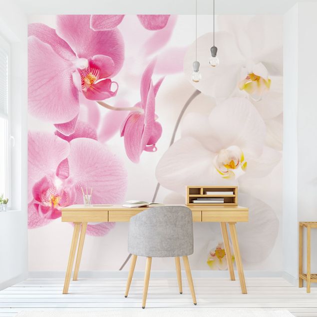 Papier peint fleurs Orchidées délicates