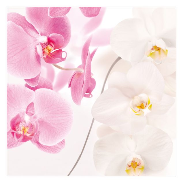 Papier peint - Delicate Orchids