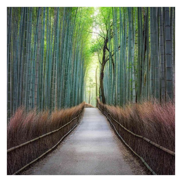 papier peint xxl Le chemin à travers le bambou