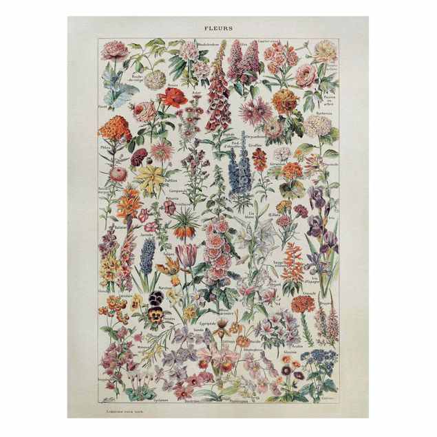Tableaux florals Tableau Vintage des Fleurs V