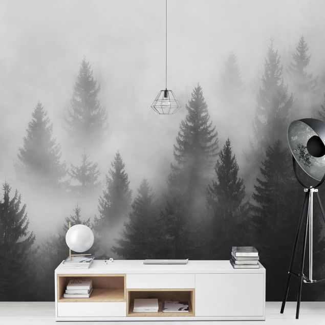 Papier peint panoramique paysage Forêt de conifères dans le brouillard Noir et blanc