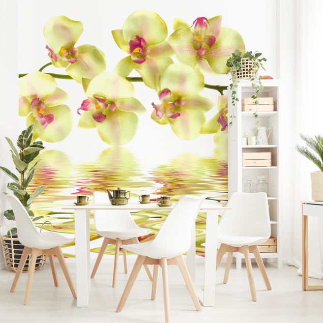 Papier peint orchidée Dreamy Orchid Waters