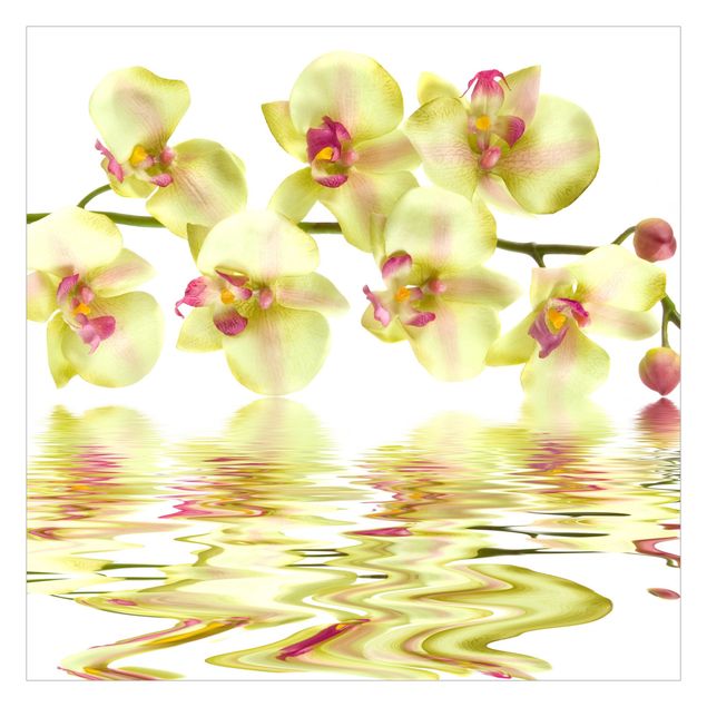 Papier peint - Dreamy Orchid Waters