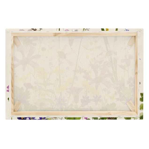 Tableau sur toile naturel - Fragrant Flower Meadow - Format paysage 3:2