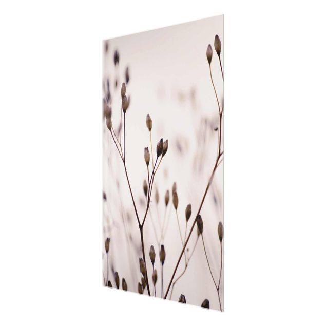 Tableaux en verre magnétique Bourgeons sombres sur un rameau de fleurs sauvages