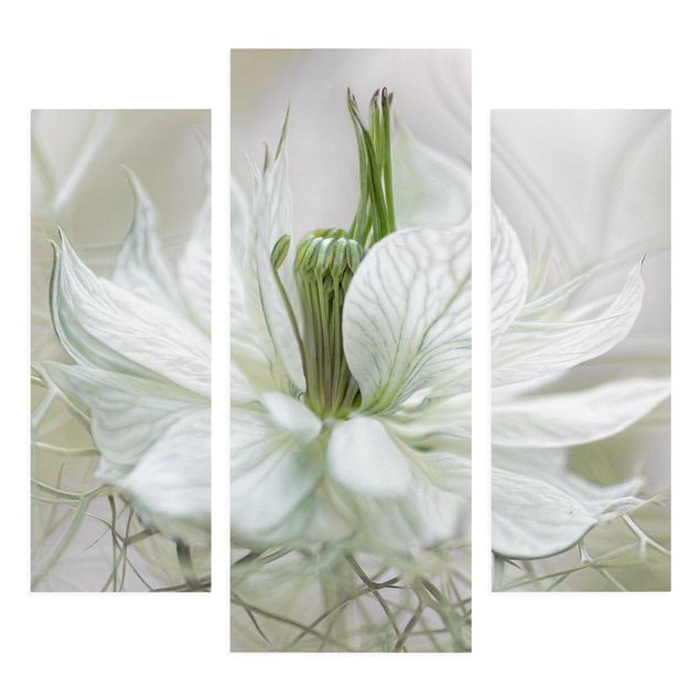 Tableau décoration White Nigella
