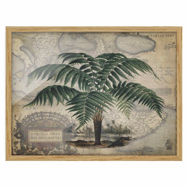 Tableaux encadrés mappemonde Collage Vintage - Palmier et carte du monde