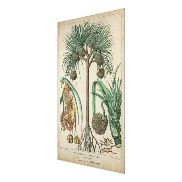 Tableaux verts Tableau Vintage Palmiers exotiques I
