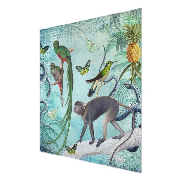 Tableau vert Collage de style colonial - Singes et oiseaux de paradis