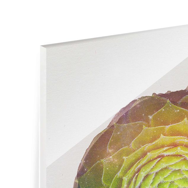 Tableaux en verre magnétique Aquarelles - Mandala Succulent