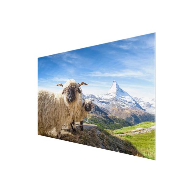 Tableaux en verre architecture & skyline Moutons à nez noir de Zermatt